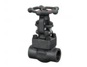 鍛鋼閘閥的顏色為什么通常都是黑色的呢？